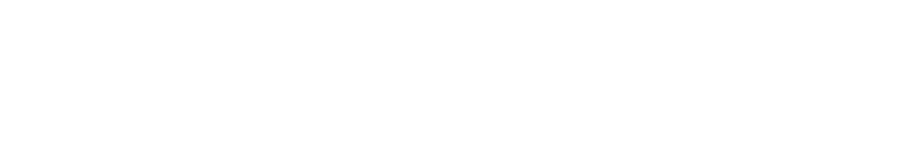 The Pixel Technologies